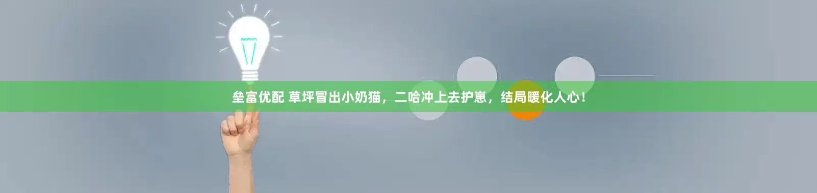 垒富优配 草坪冒出小奶猫，二哈冲上去护崽，结局暖化人心！