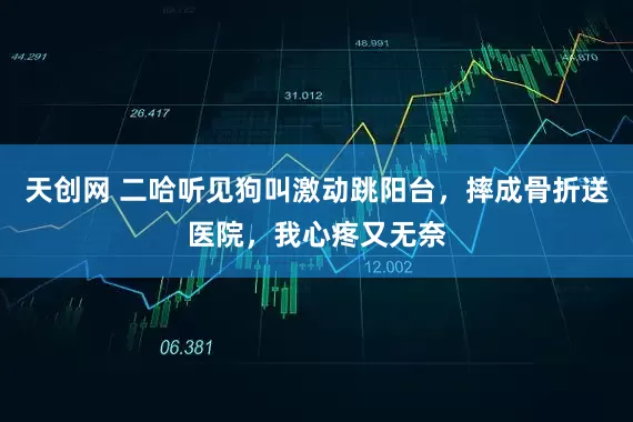 天创网 二哈听见狗叫激动跳阳台，摔成骨折送医院，我心疼又无奈