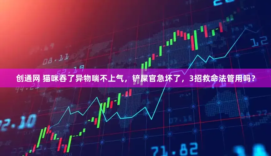 创通网 猫咪吞了异物喘不上气，铲屎官急坏了，3招救命法管用吗？