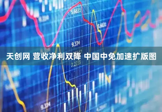 天创网 营收净利双降 中国中免加速扩版图