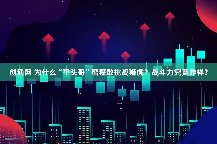 创通网 为什么“平头哥”蜜獾敢挑战狮虎？战斗力究竟咋样？
