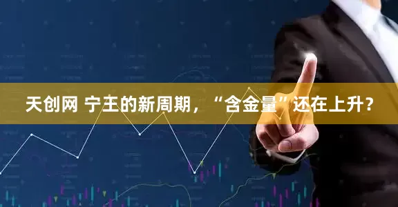 天创网 宁王的新周期，“含金量”还在上升？