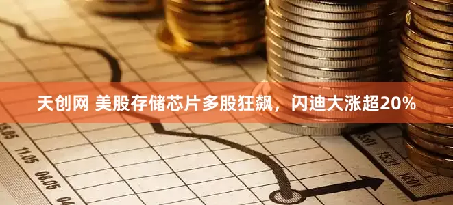 天创网 美股存储芯片多股狂飙，闪迪大涨超20%